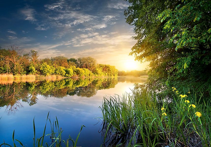 Papermoon Fototapete "River at the Sunset" glatt günstig online kaufen