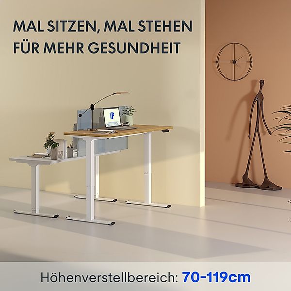 FLEXISPOT Schreibtisch Basic Plus Elektrisch höhenverstellbarer günstig online kaufen