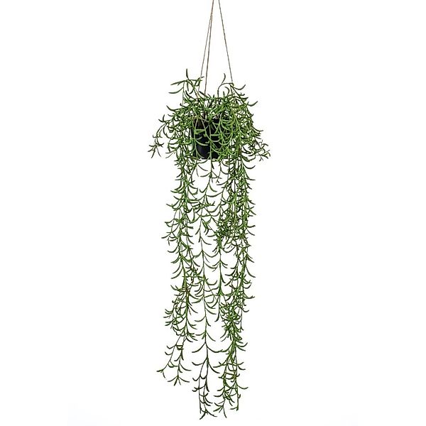 Künstliche Zimmerpflanze Kunstpflanze Senecio Hängend im günstig online kaufen