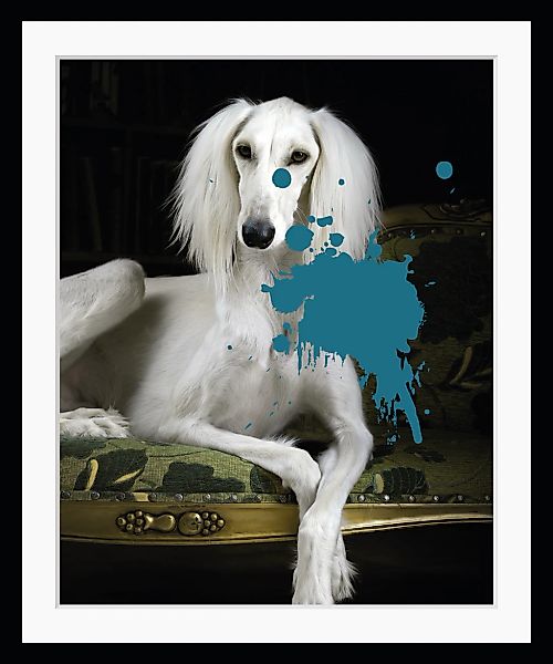 queence Bild "3.0", Hunde, gerahmt, Hund, Farbklecks, Pudel günstig online kaufen
