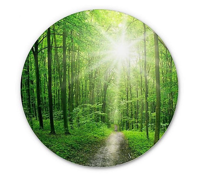 K&L Wall Art Alu-Dibond-Druck Metallposter rund Sonnenlicht Wald Spaziergan günstig online kaufen