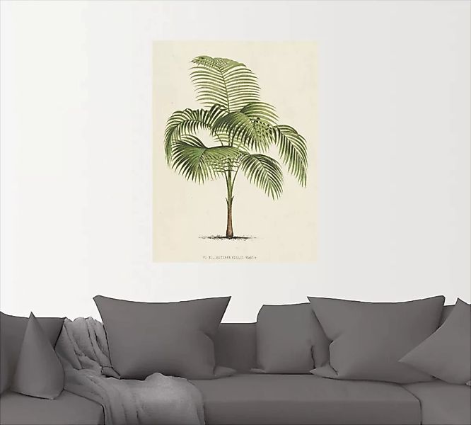 Artland Wandfolie "Palme I", Pflanzen, (1 St.) günstig online kaufen