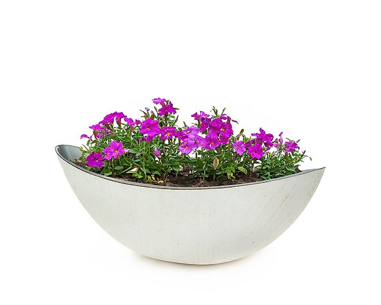 matches21 HOME & HOBBY Blumentopf Große Pflanzschale oval 34 cm für drausse günstig online kaufen