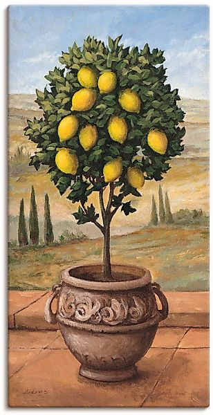 Artland Leinwandbild "Zitronenbaum" Bäume 1 Stk. tlg. auf Holzrahmen gespan günstig online kaufen