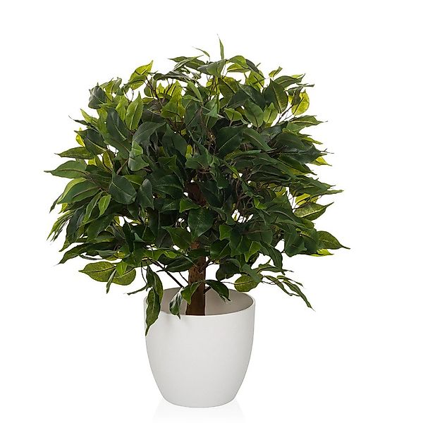 Kunstpflanze Kunstpflanze FICUS II Kunststoff Birke, günstig online kaufen