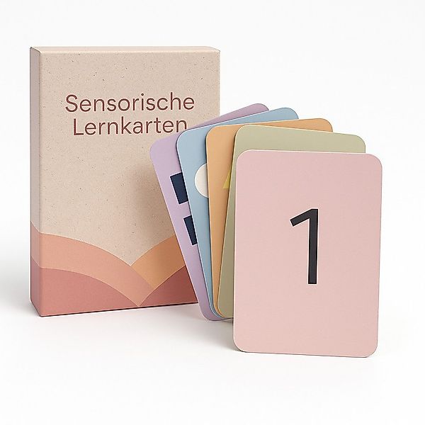 Diyarts Lernspielzeug Sensorische Lernkarten (10 doppelseitige günstig online kaufen