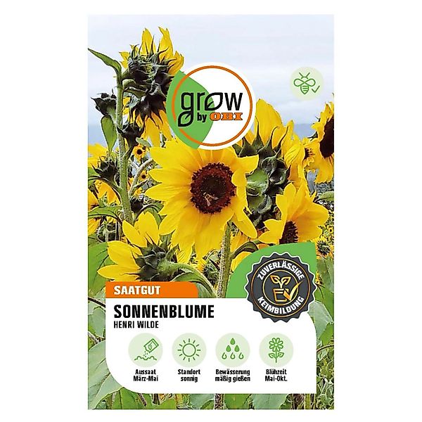 GROW by OBI Sonnenblume Henri Wilde günstig online kaufen