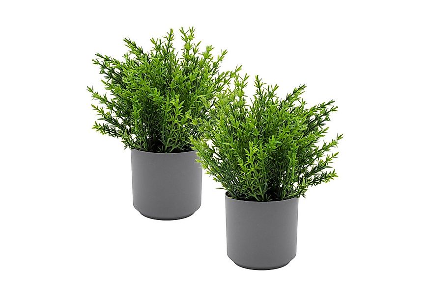 Kunstpflanze Grünpflanzen Arragement 22 cm im grauen Topf künstliches Zierg günstig online kaufen