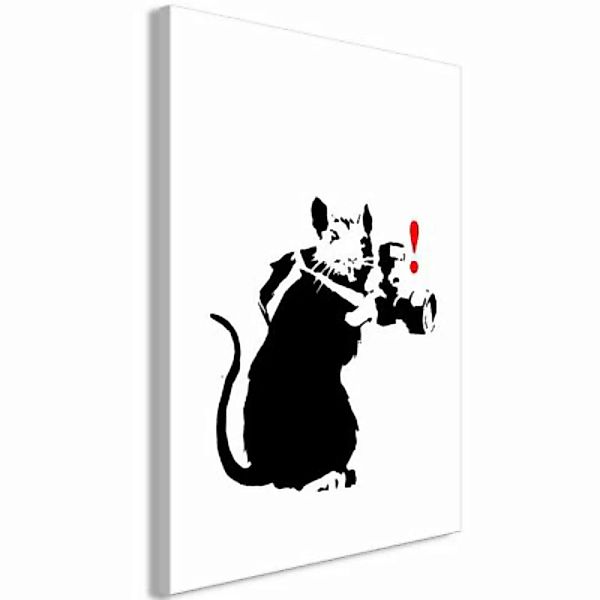 artgeist Wandbild Rat Photographer (1 Part) Vertical mehrfarbig Gr. 40 x 60 günstig online kaufen