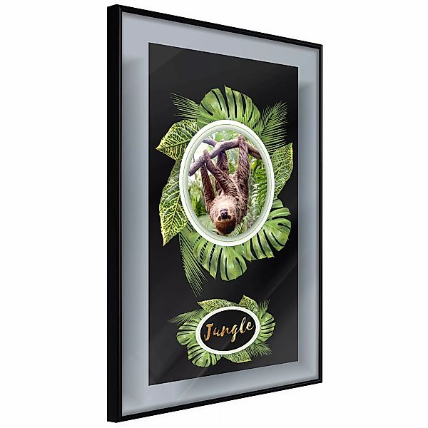 Poster - Greetings From The Jungle günstig online kaufen