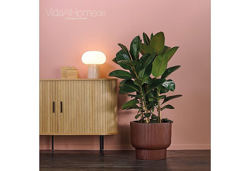 VidaAtHome.de Blumentopf Design-Pflanzgefäß ULEY ø 40er, Modernes Rillendes günstig online kaufen