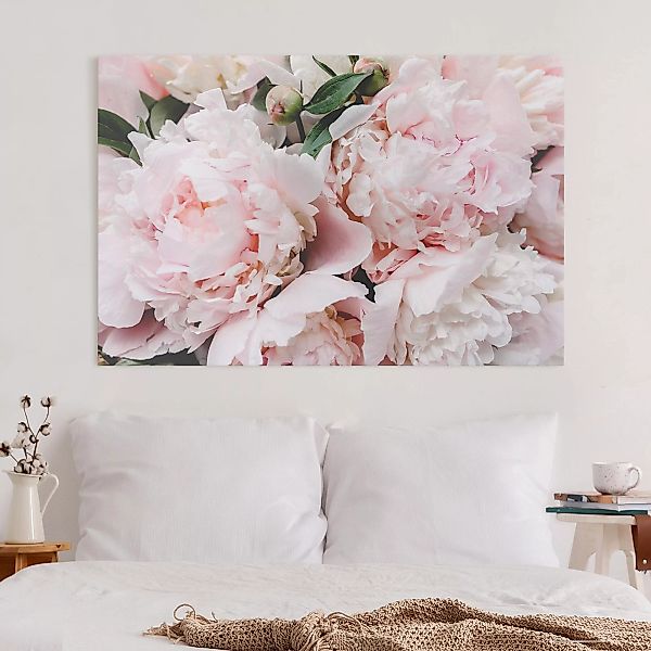 Leinwandbild Blumen - Querformat Pfingstrosen Hellrosa günstig online kaufen