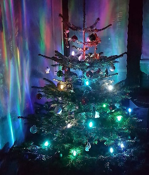 TRANGO LED-Christbaumkerzen, 24-flammig, mit Stecksystem Innenbereich günstig online kaufen