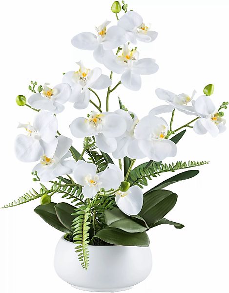 Creativ green Kunstorchidee "Orchidee Phalaenopsis", mit Farnzweigen günstig online kaufen