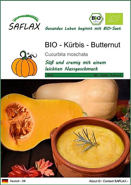 SAFLAX Gemüsesamen SAFLAX - Samen - BIO - Kürbis - Butternut günstig online kaufen