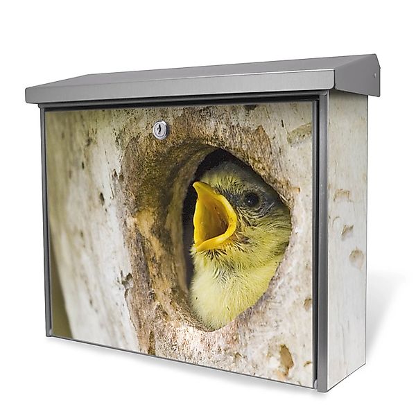 Banjado Briefkasten Edelstahl 38.5x31.5x12cm Ohne Zeitungsfach Inkl. Montag günstig online kaufen