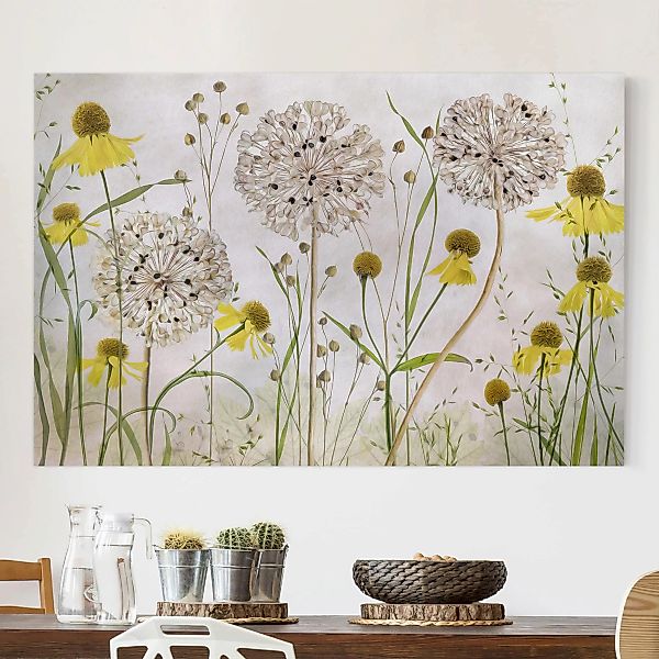 Leinwandbild Blumen - Querformat Allium und Helenium Illustration günstig online kaufen