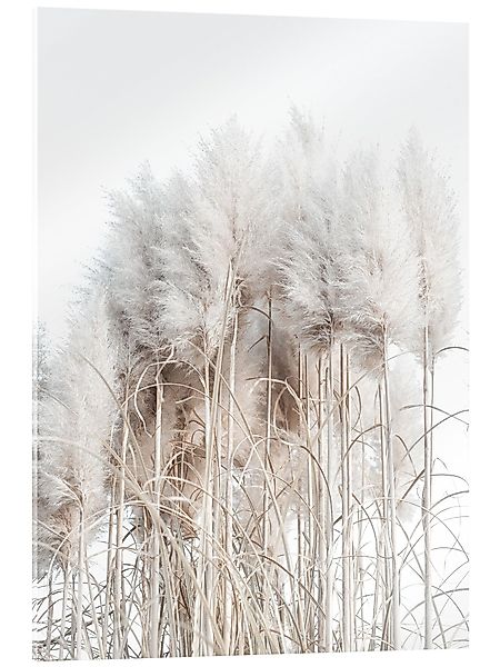 Posterlounge Wandbild Pampasgras I, Magda Izzard, günstig online kaufen