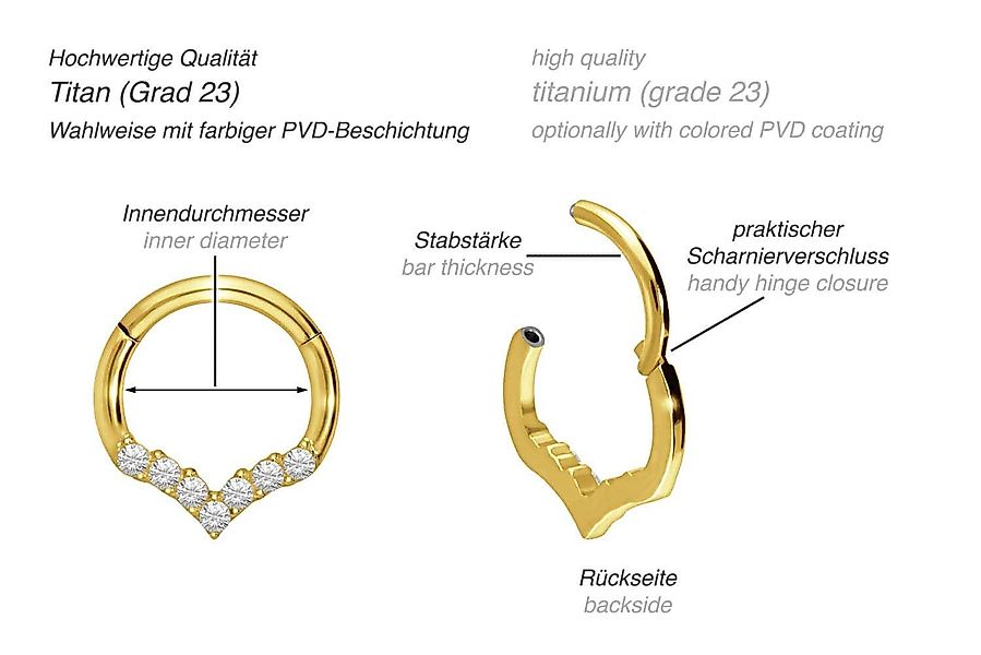 PIERCINGLINE Piercing-Set Titan Segmentring Clicker SPITZ günstig online kaufen