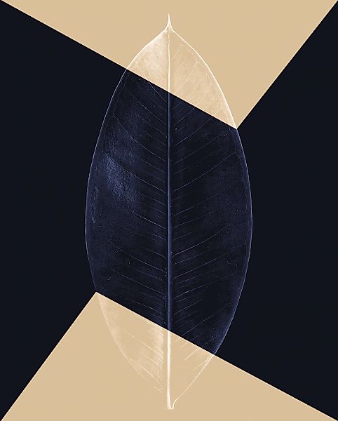 Komar Bild "Lotus Theatre" Natur 1 Stk. tlg. Wandbild zur Dekoration - ohne günstig online kaufen