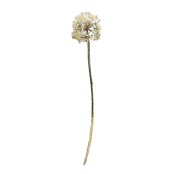 Kunstblume Kunstblume Pusteblume Flora Pusteblume, HTI-Living, günstig online kaufen