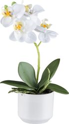 Creativ green Kunstorchidee "Orchidee Phalaenopsis" mit real-touch-Blüten günstig online kaufen