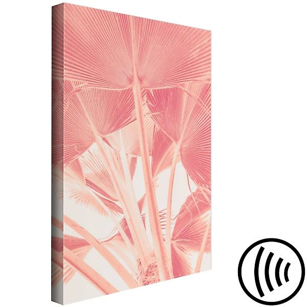 Leinwandbild Rosa Palme - überbeleuchtete der Palmblätter in Rosa XXL günstig online kaufen