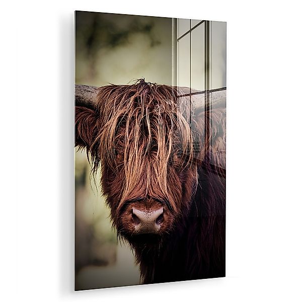 MuchoWow Acrylglasbild Schottischer Hochländer - Licht günstig online kaufen