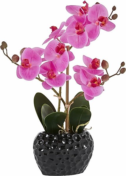 Leonique Kunstpflanze "Orchidee", Kunstorchidee, im Topf, Bestseller, über günstig online kaufen