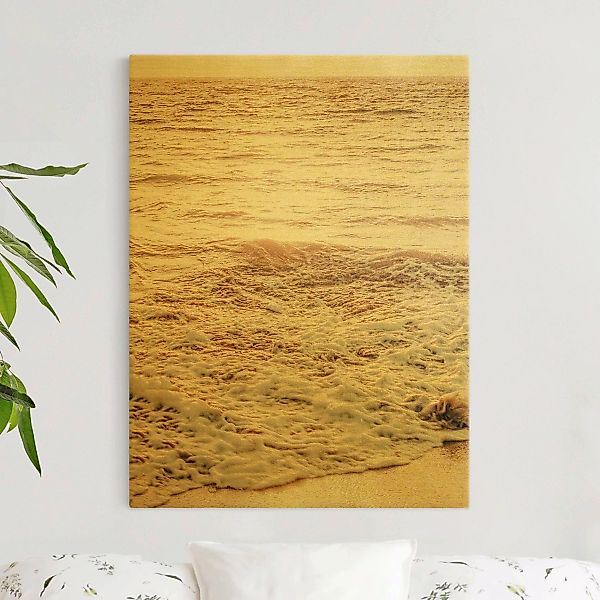 Leinwandbild Goldener Strand günstig online kaufen