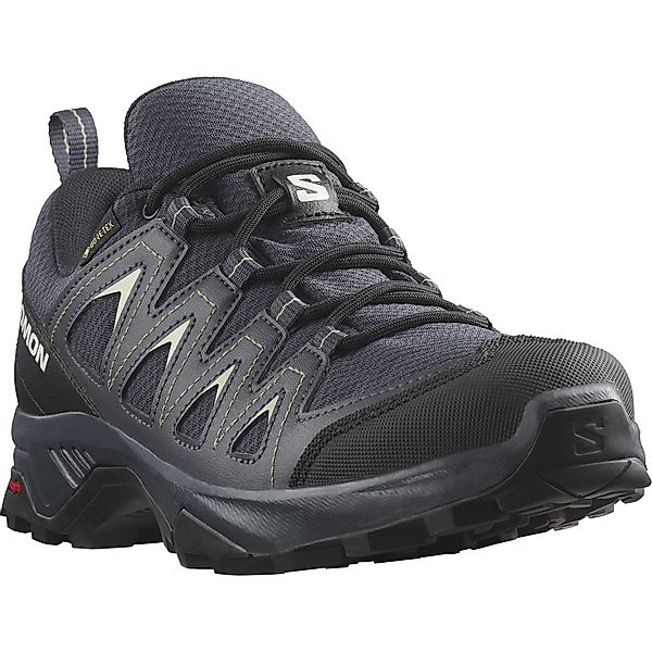 Salomon X BRAZE GORE-TEX® Wanderschuh wasserdicht günstig online kaufen