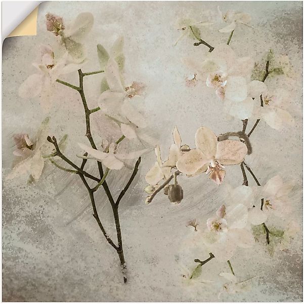 Artland Wandbild "Orchideen", Blumen, (1 St.) günstig online kaufen