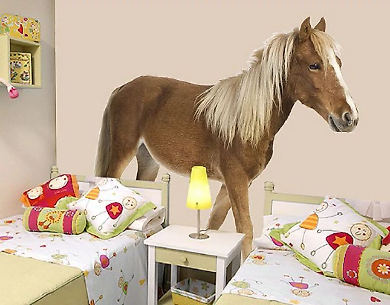 Wandtattoo Kinderzimmer No.136 Pony günstig online kaufen