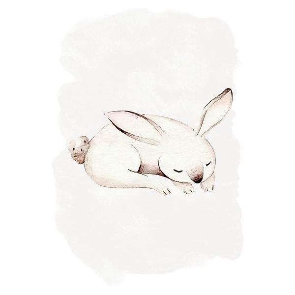 Komar Poster Sleepy Bunny Waldtiere B/L: ca. 50x70 cm günstig online kaufen