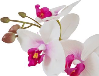 Kunstpflanze Orchidee, Home affaire, Höhe 38 günstig online kaufen