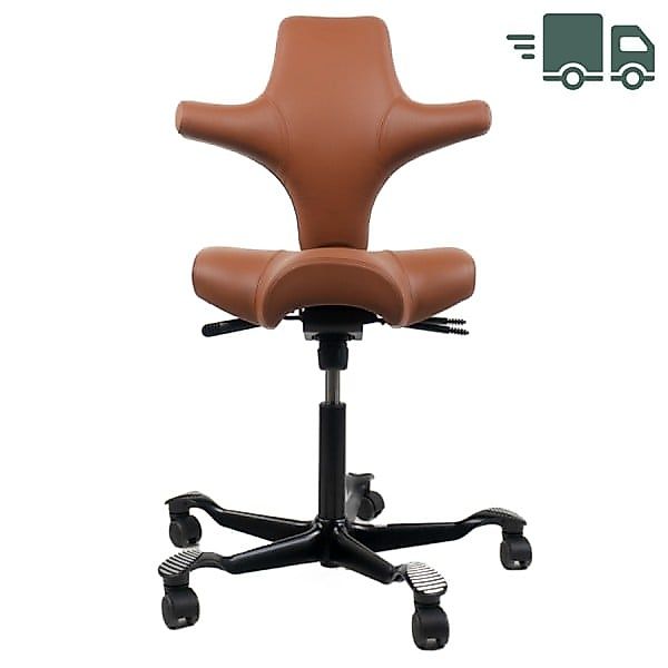 HAG CAPISCO 8106 | Leder Paloma Sonderfarbe coffee | Gestell schwarz günstig online kaufen