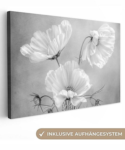 OneMillionCanvasses® Leinwandbild Stilleben - Blumen - Schwarz und weiß - M günstig online kaufen
