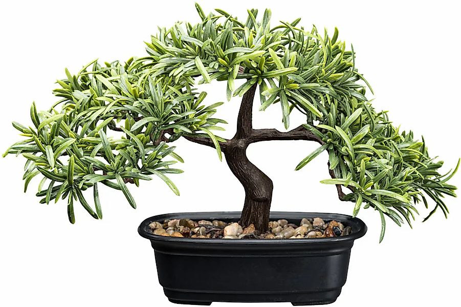 Creativ green Kunstbonsai "Bonsai Steineibe", mit Deko-Kies günstig online kaufen