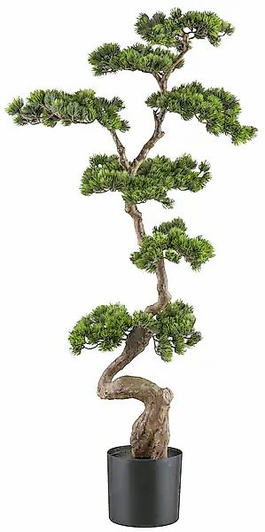 Creativ green Kunstbonsai »Bonsai Kiefer«, mit elegantem Stamm günstig online kaufen