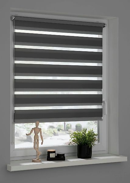 Doppelrollo Tilda, SCHÖNER WOHNEN-Kollektion, transparent, mit Bohren/ohne günstig online kaufen