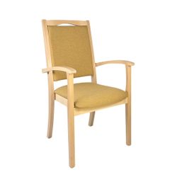 einrichtungsdesign24 Armlehnstuhl Massivholz Seniorenstuhl Alexander Hochle günstig online kaufen