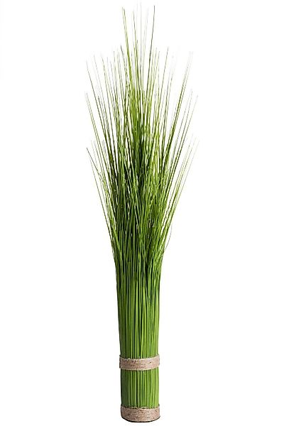 Botanic-Haus Kunstgras "Grasarrangement selbststehend" günstig online kaufen