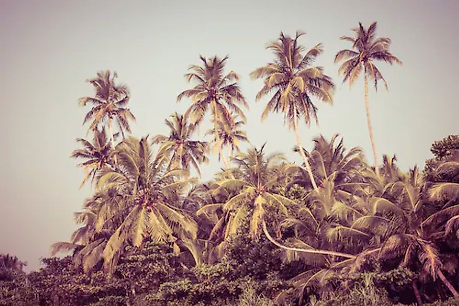 Papermoon Fototapete »PALMEN-NATUR LANDSCHAFT KARIBIK DSCHUNGEL STRAND BÄUM günstig online kaufen