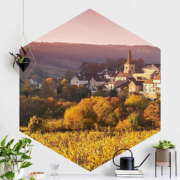 Hexagon Fototapete Weinberge in Frankreich günstig online kaufen