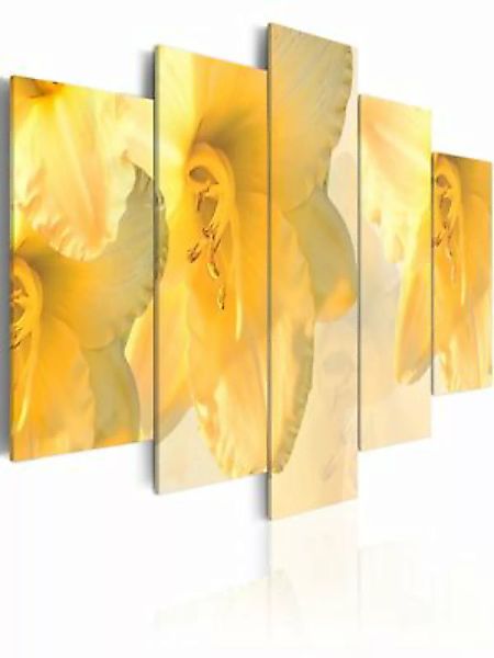 artgeist Wandbild Lilien wie aus einem Traum mehrfarbig Gr. 200 x 100 günstig online kaufen