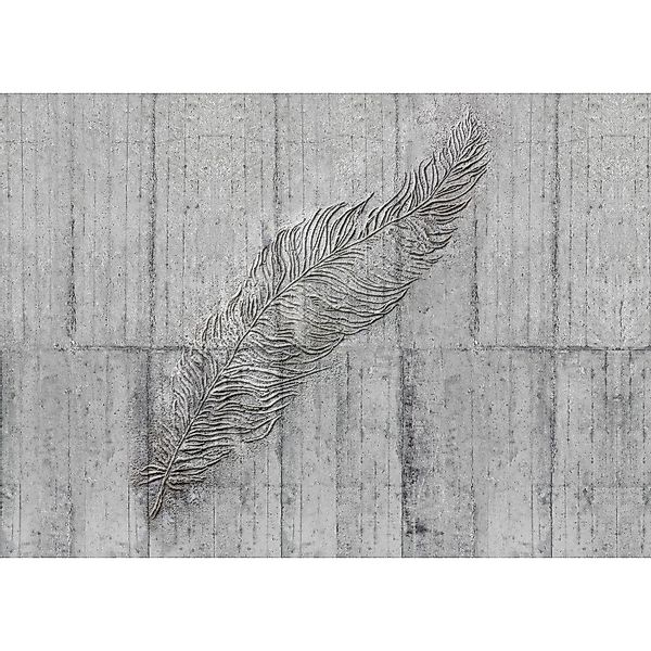 Komar Vliesfototapete Concrete Feather 350 cm x 250 cm günstig online kaufen