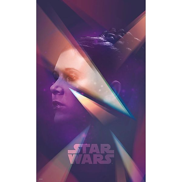 Komar Fototapete Vlies Star Wars Female Leia  120 x 200 cm günstig online kaufen