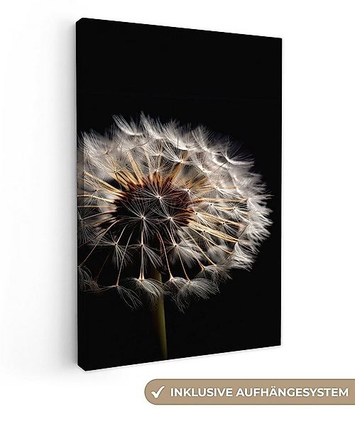 OneMillionCanvasses® Leinwandbild Blumen - Natur - Löwenzahn - Schwarz - Po günstig online kaufen