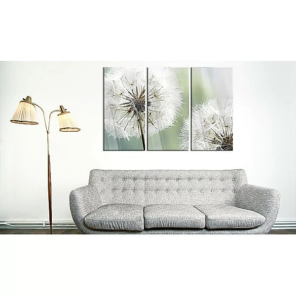 home24 Acrylglasbild Fluffy Dandelions günstig online kaufen