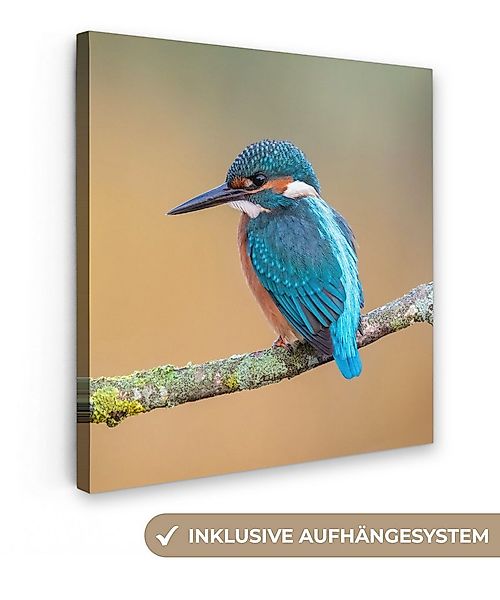 OneMillionCanvasses® Leinwandbild Vogel - Eisvogel - Tiere - Zweig, Fotodru günstig online kaufen